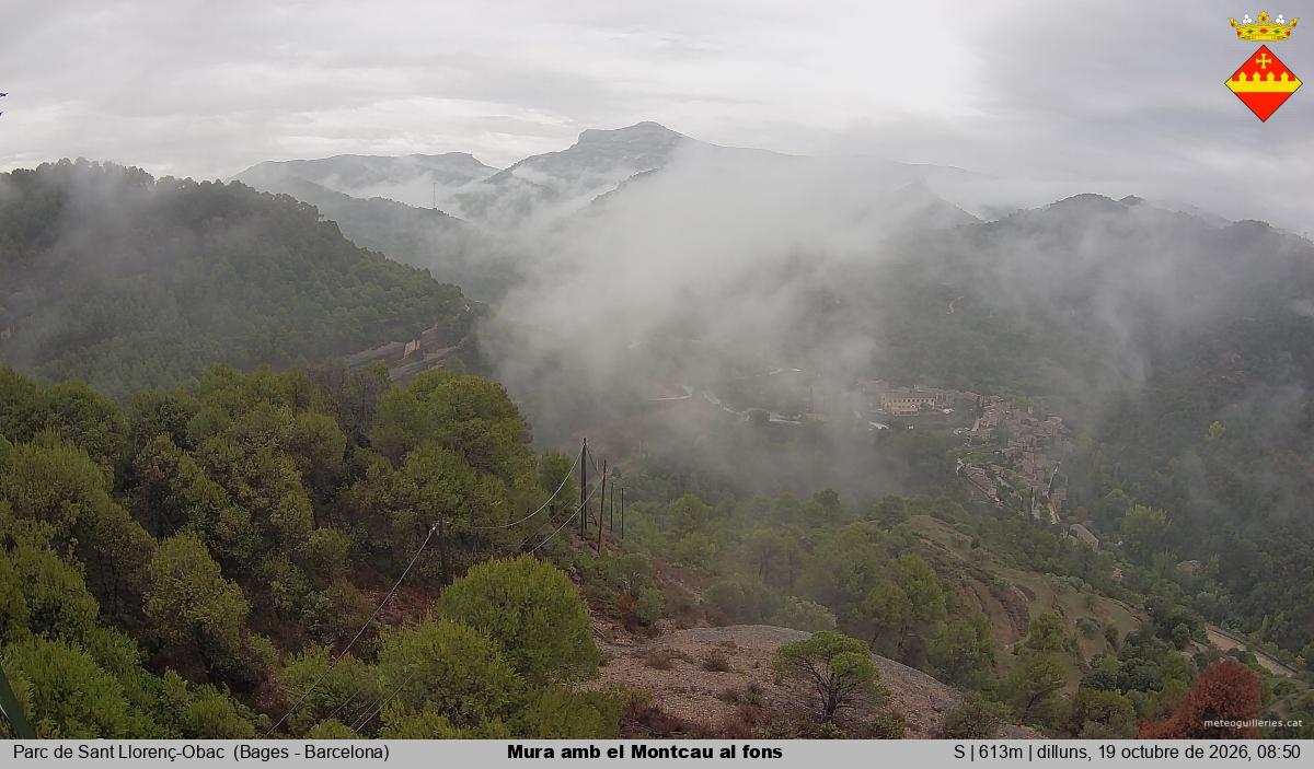 Mura amb el Montcau al fons