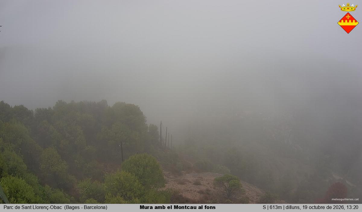 Mura amb el Montcau al fons
