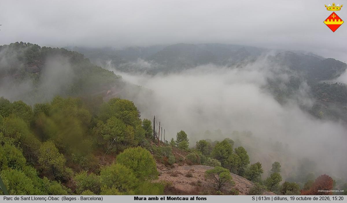 Mura amb el Montcau al fons