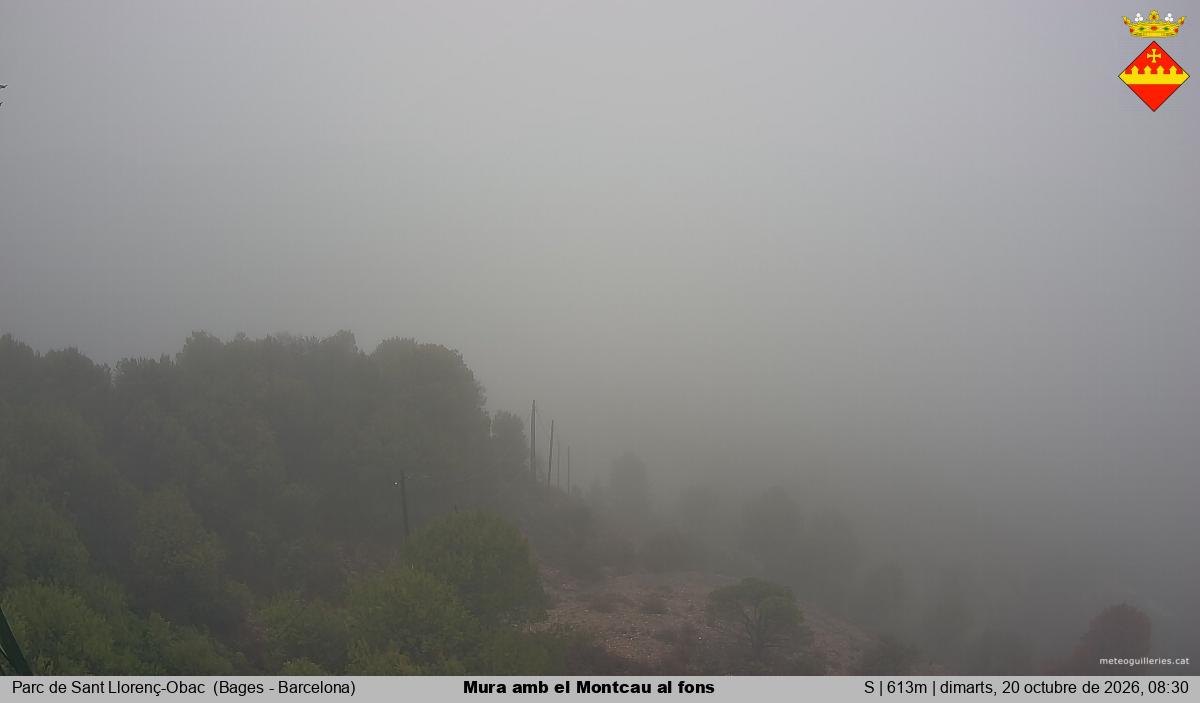 Mura amb el Montcau al fons