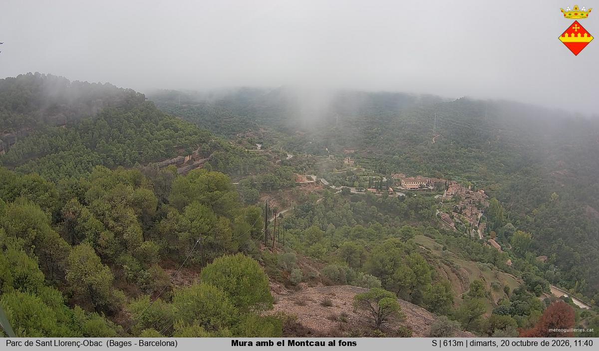 Mura amb el Montcau al fons