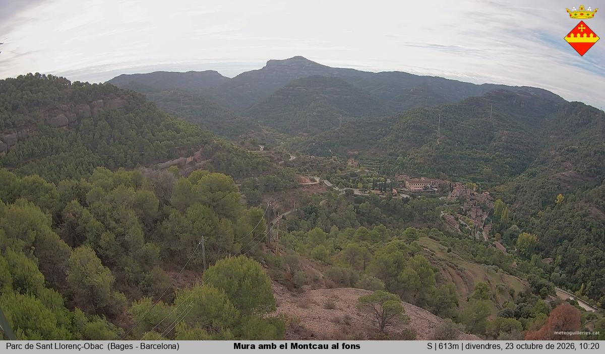 Mura amb el Montcau al fons