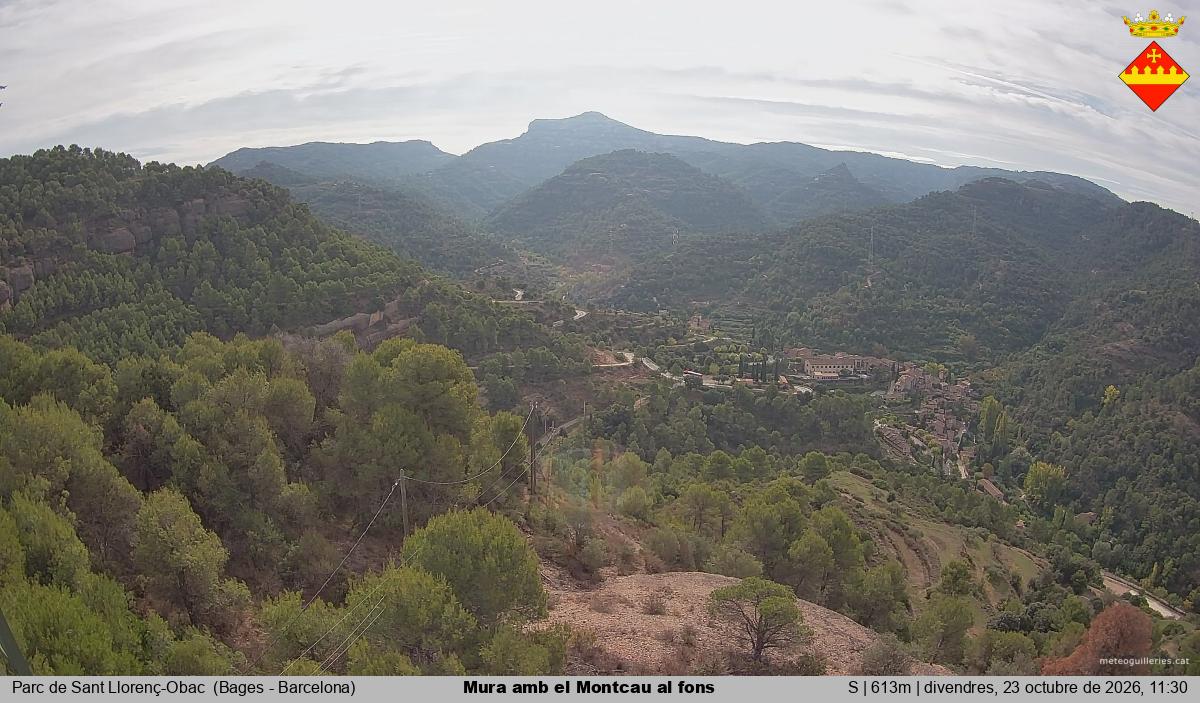 Mura amb el Montcau al fons