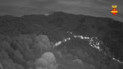 Webcams