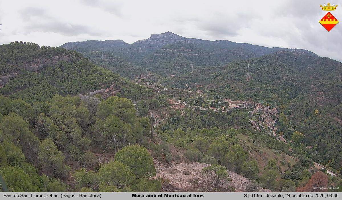 Mura amb el Montcau al fons