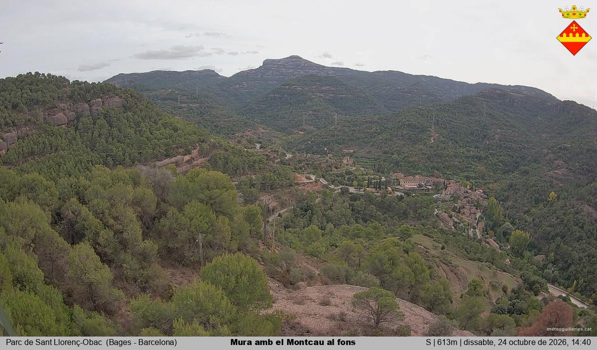 Mura amb el Montcau al fons
