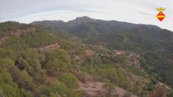 Webcams