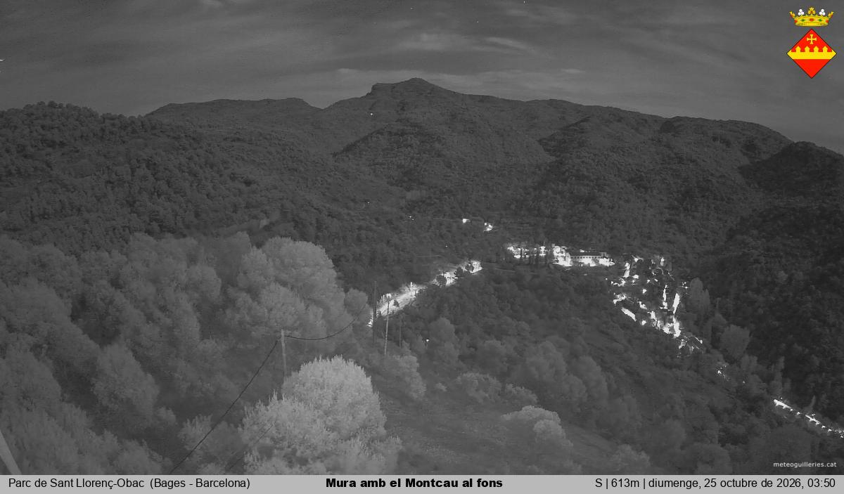 Mura amb el Montcau al fons