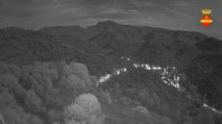 Webcams