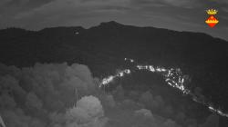 Webcams