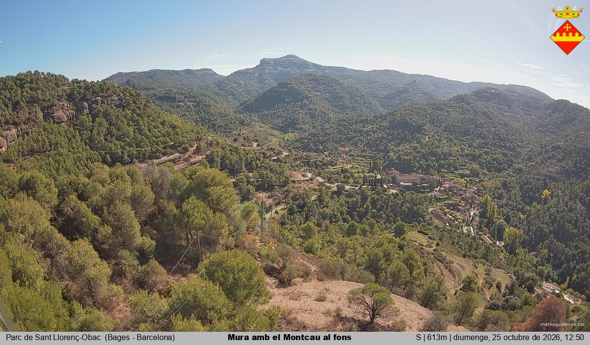 Mura amb el Montcau al fons
