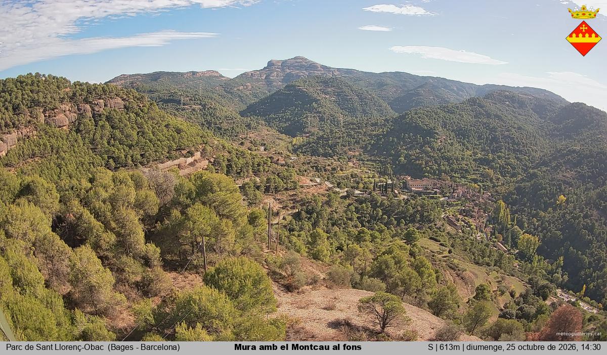 Mura amb el Montcau al fons