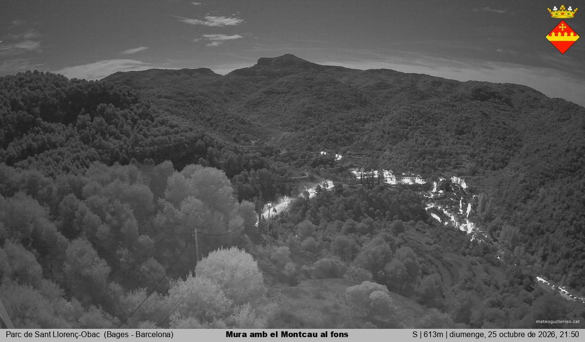 Mura amb el Montcau al fons