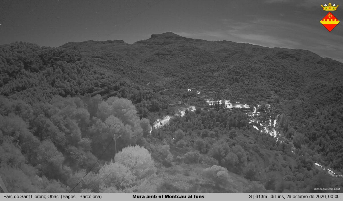 Mura amb el Montcau al fons