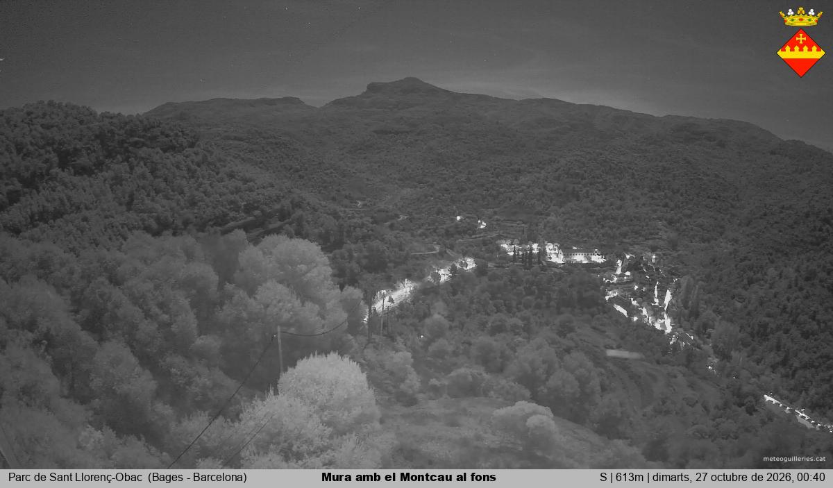 Mura amb el Montcau al fons