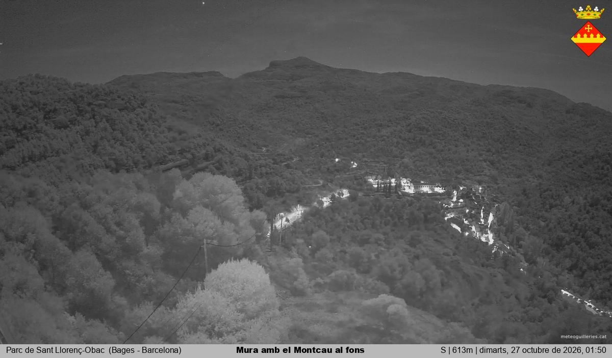 Mura amb el Montcau al fons