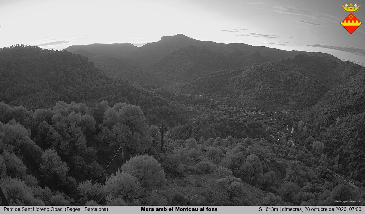 Mura amb el Montcau al fons