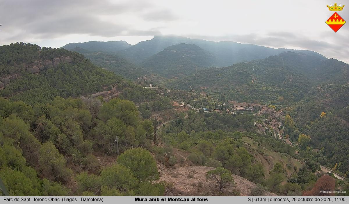 Mura amb el Montcau al fons