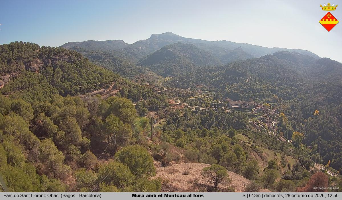 Mura amb el Montcau al fons