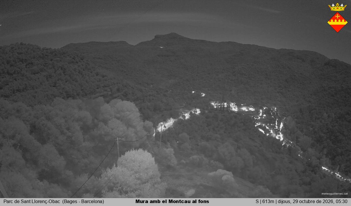 Mura amb el Montcau al fons