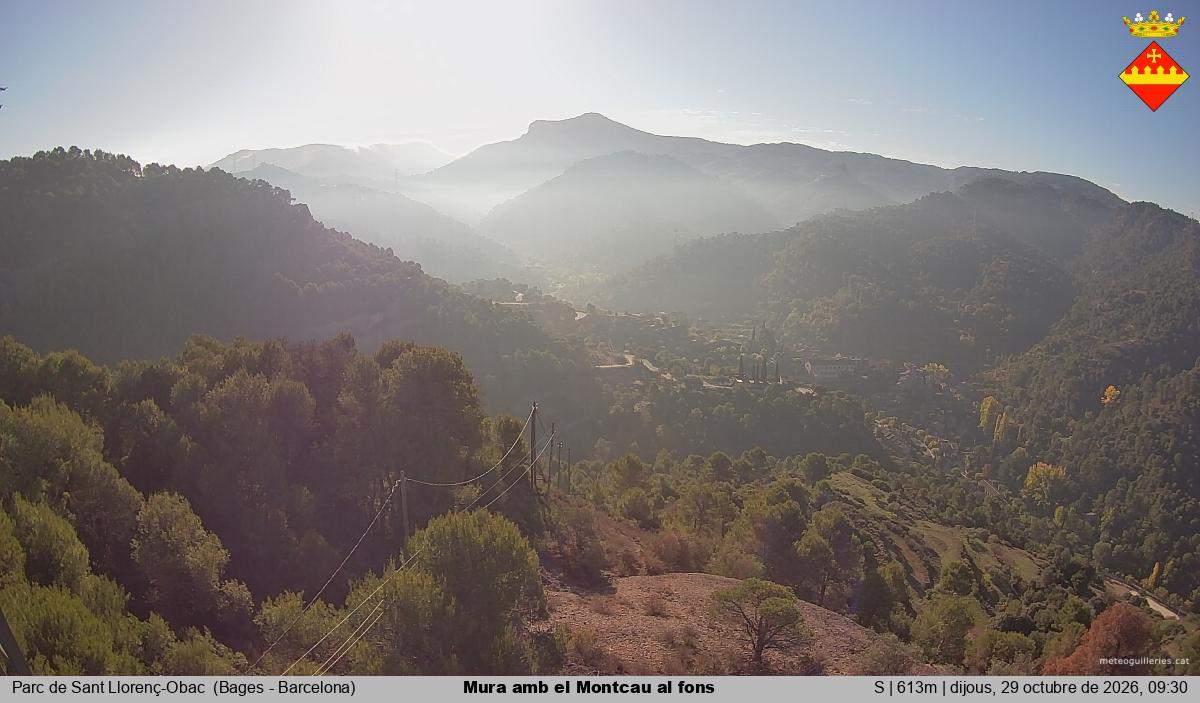 Mura amb el Montcau al fons