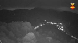 Webcams