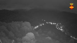 Webcams