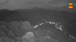 Webcams