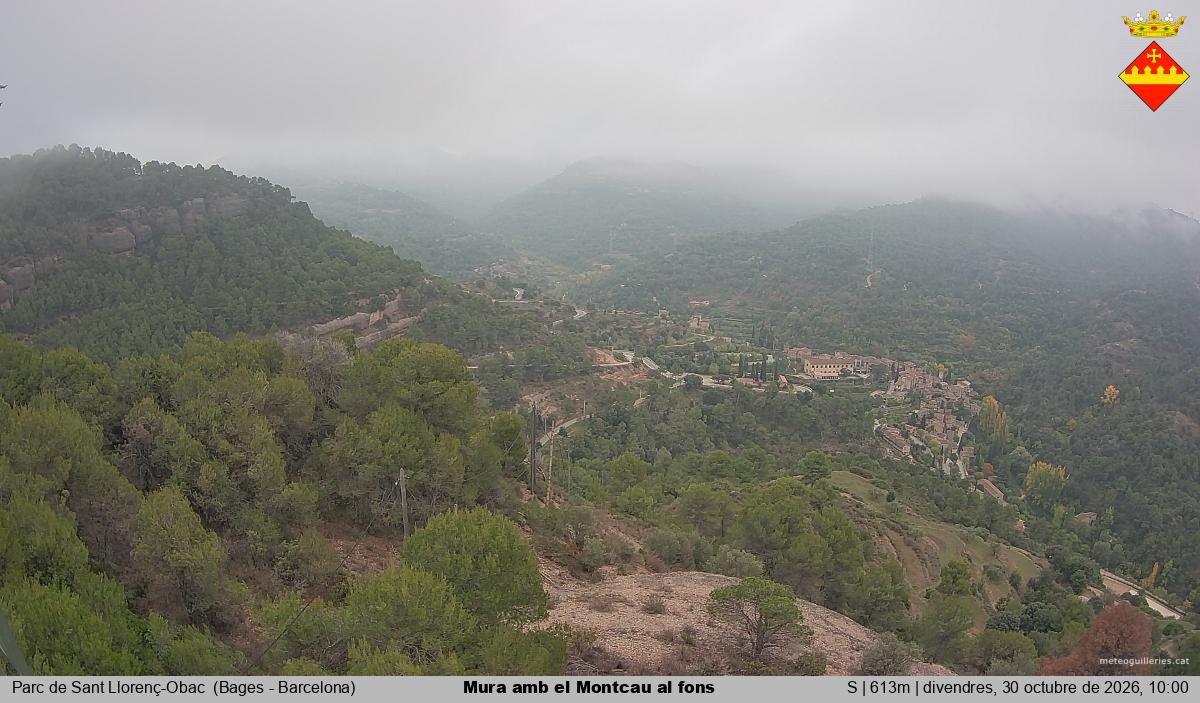 Mura amb el Montcau al fons