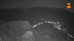 Webcams