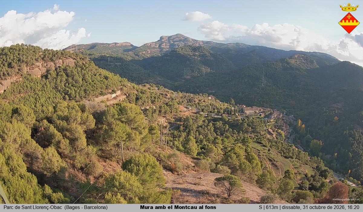 Mura amb el Montcau al fons