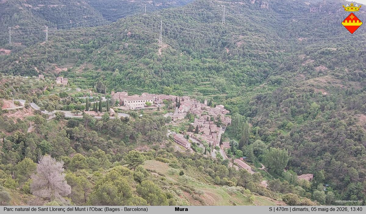 Mura 