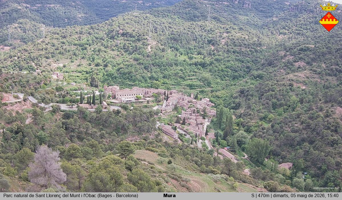 Mura 