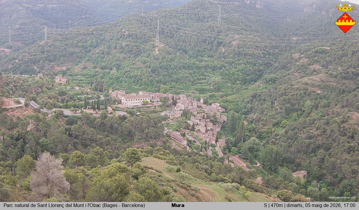 Mura 