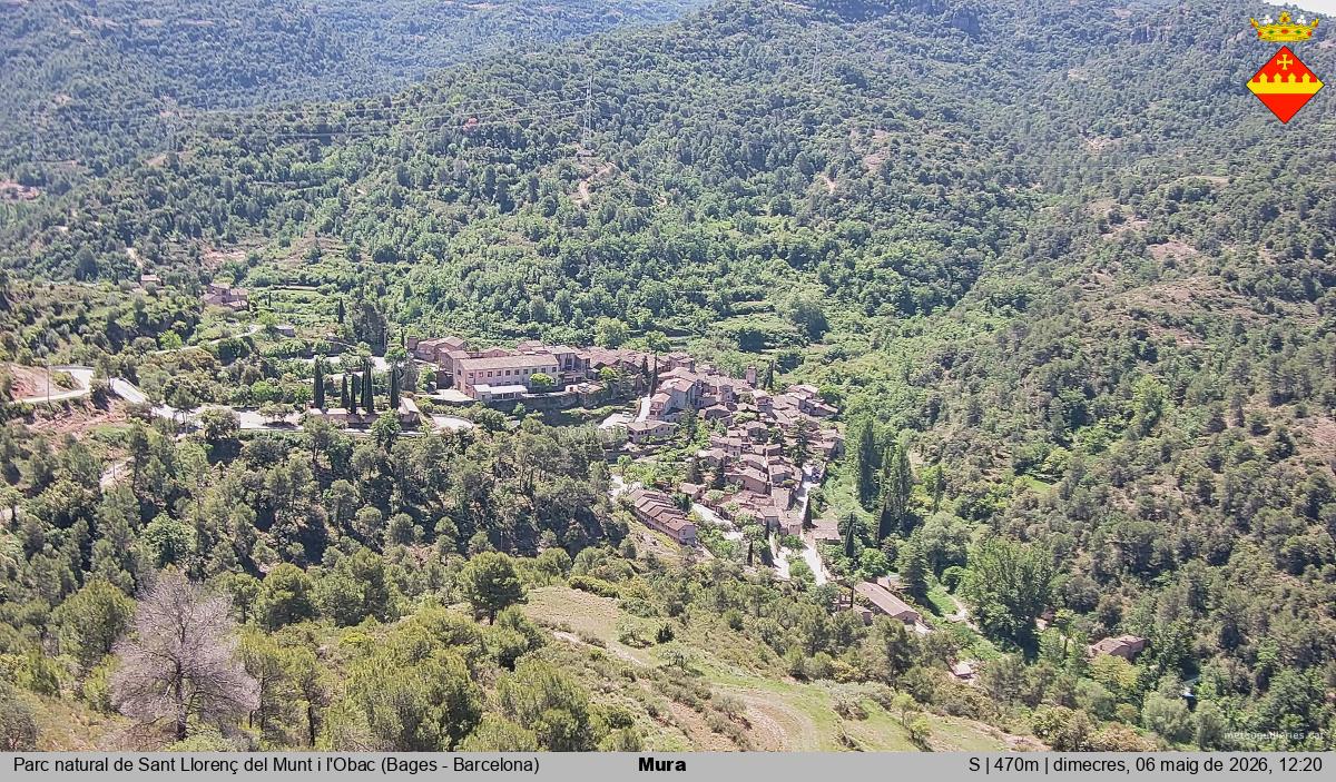 Mura 