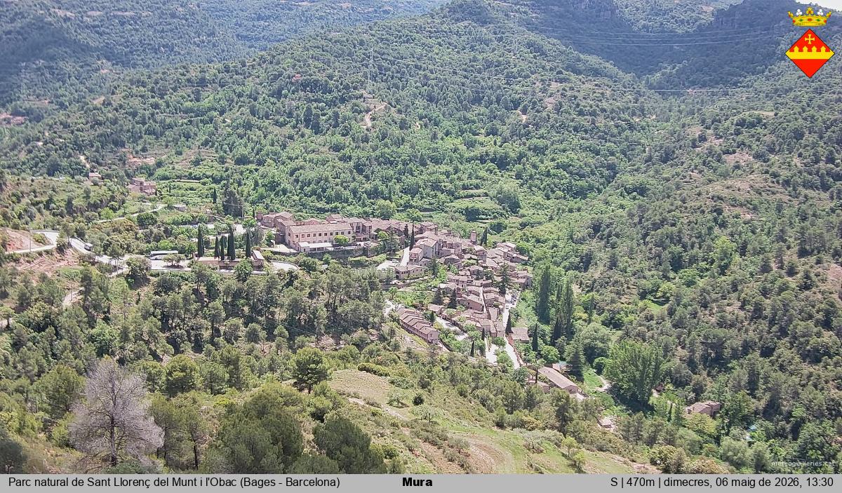 Mura 