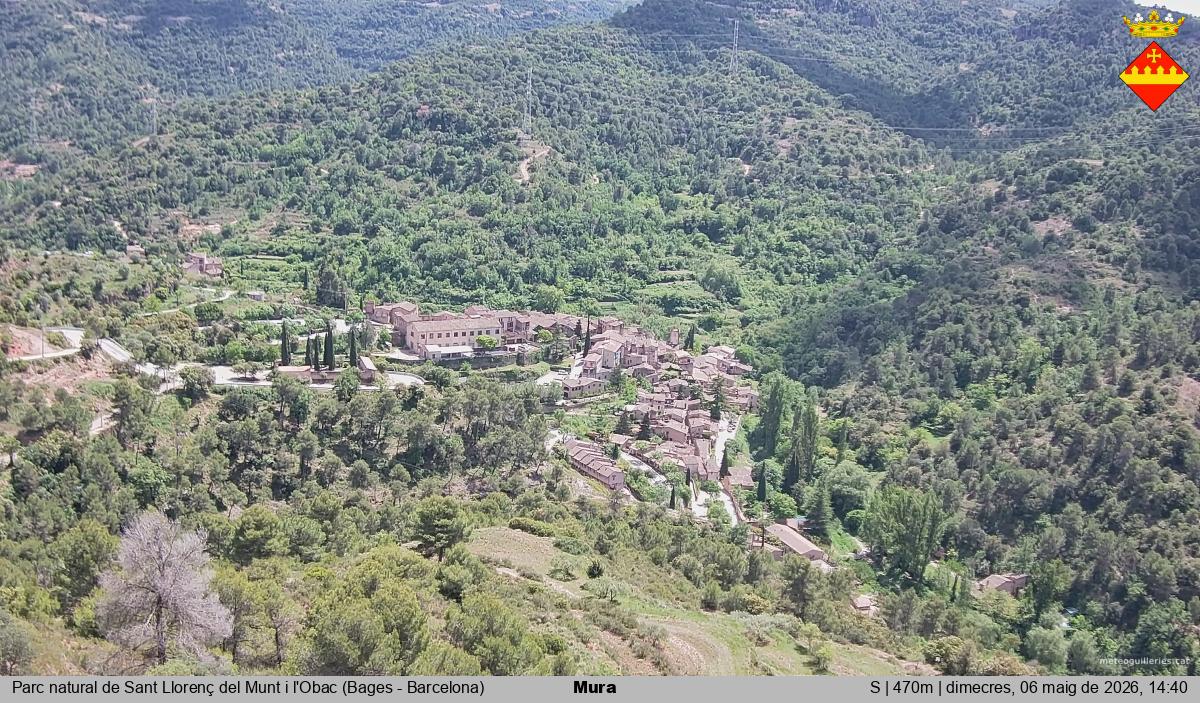 Mura 