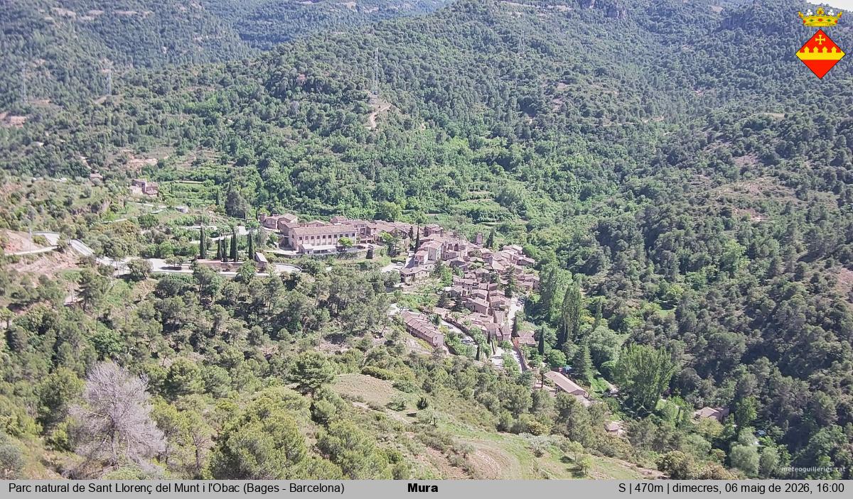 Mura 