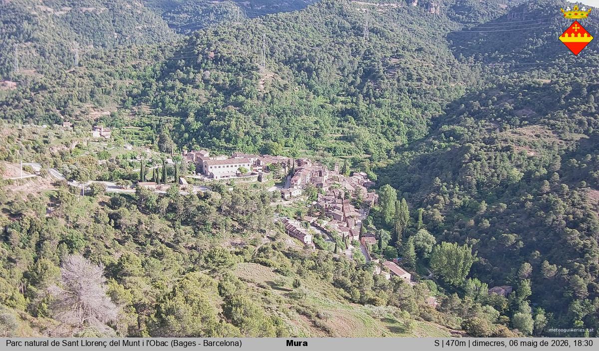 Mura 