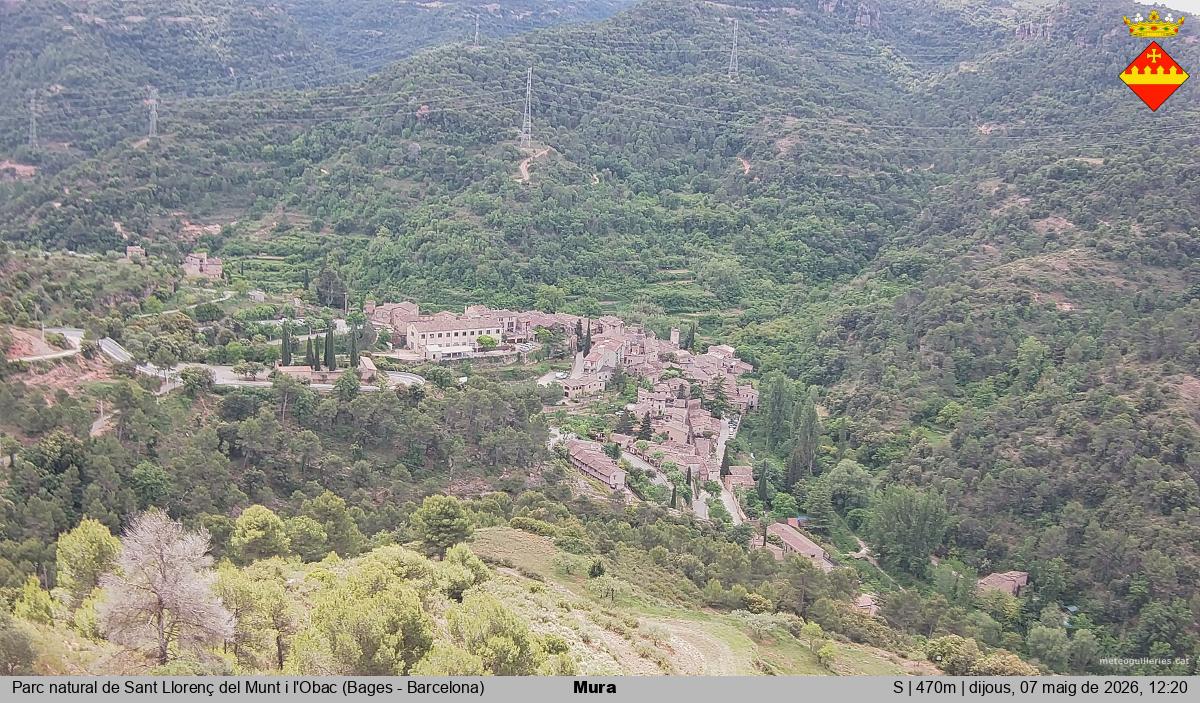 Mura 