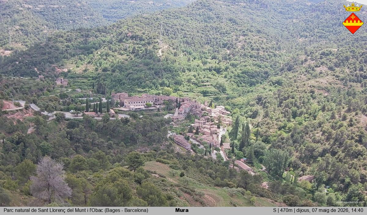 Mura 