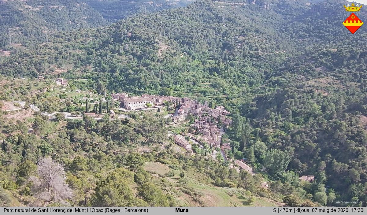 Mura 