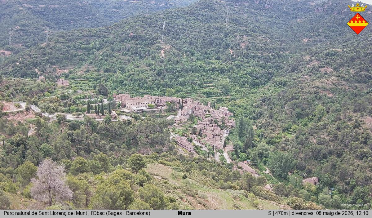 Mura 