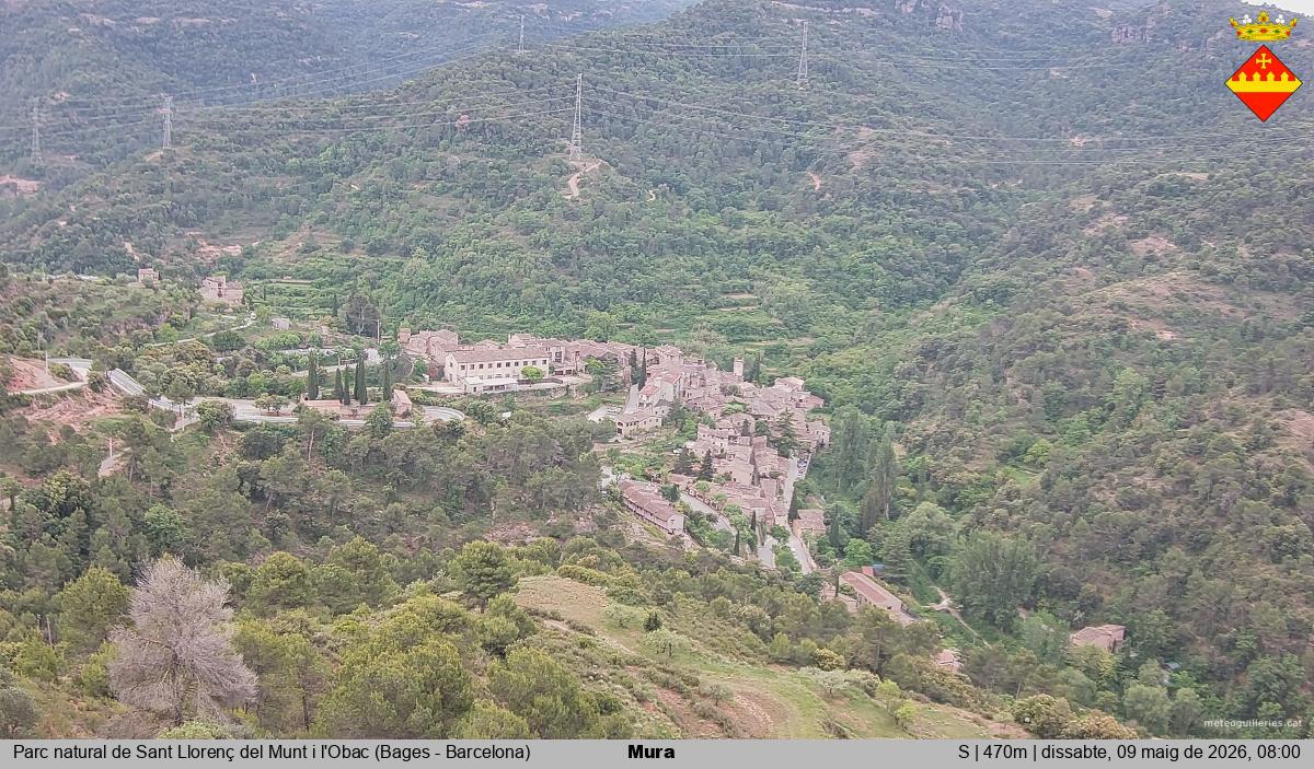 Mura 