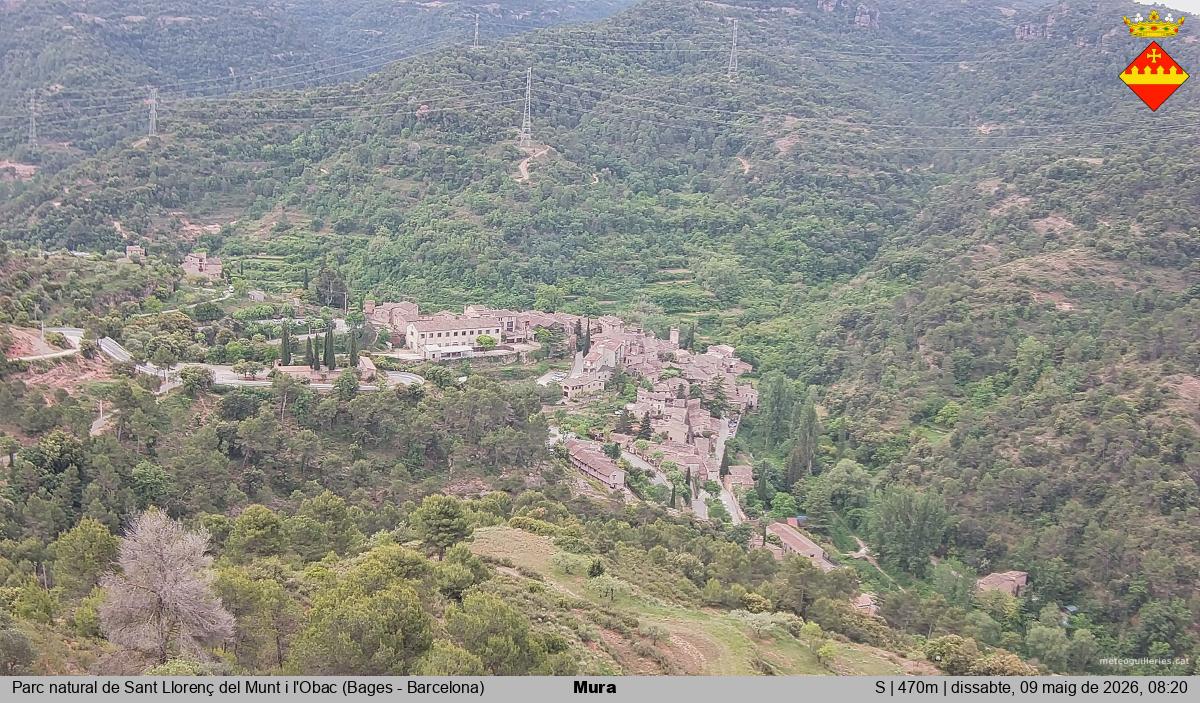 Mura 