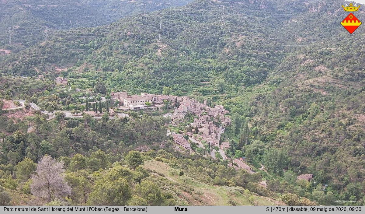 Mura 