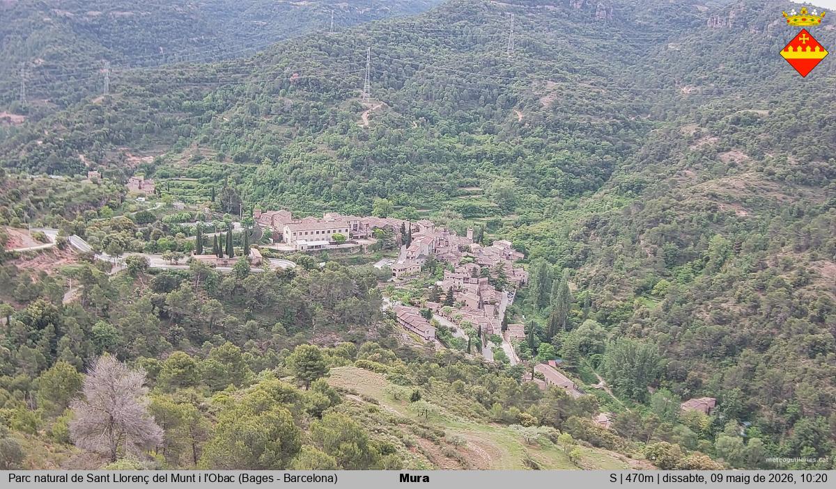 Mura 