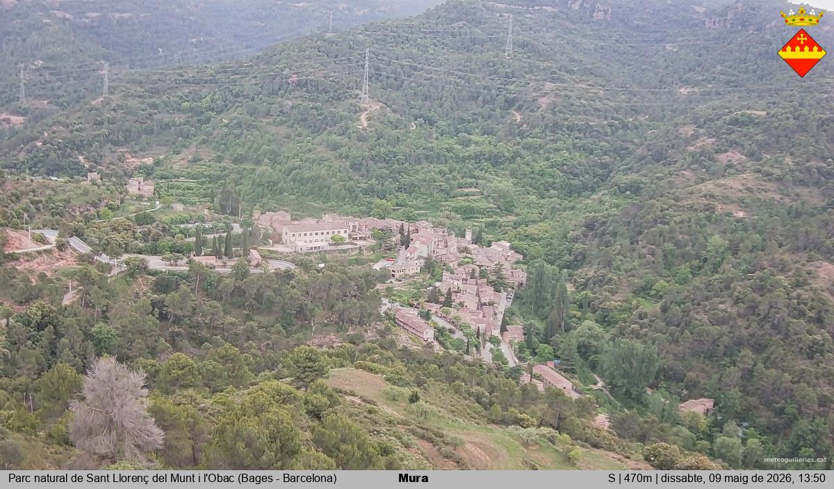 Mura 
