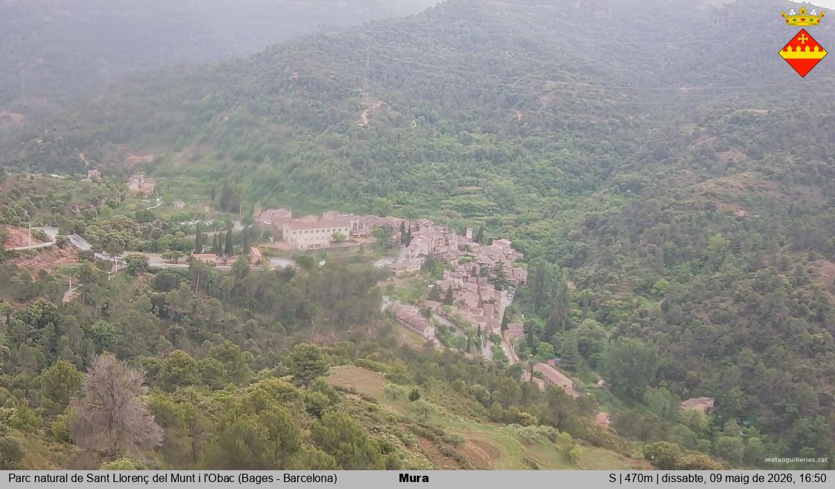 Mura 