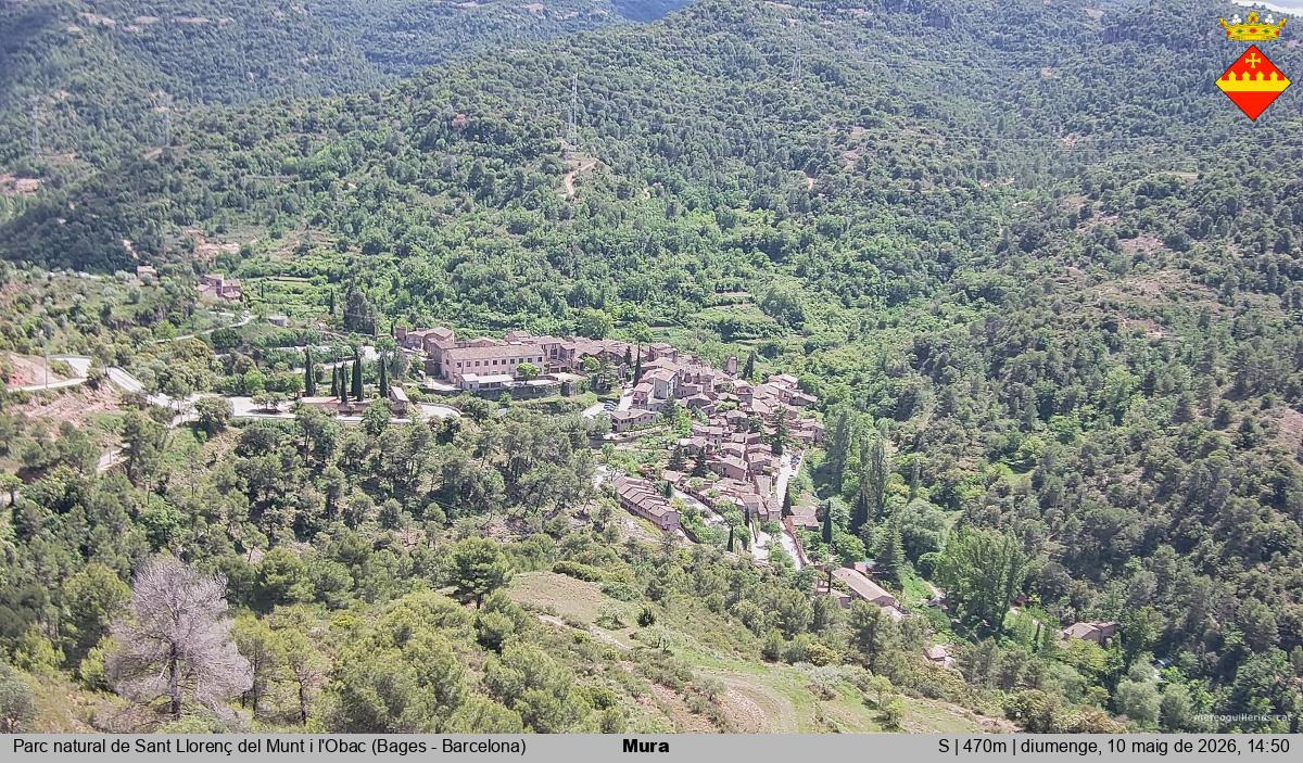 Mura 